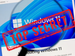 Windows Insider