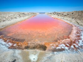 Salton Sea