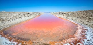 Salton Sea