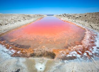 Salton Sea