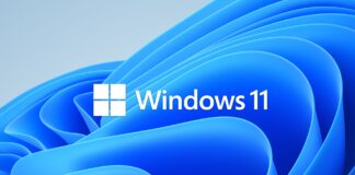 Windows 11