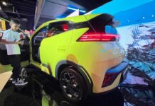 BYD Dolphin Surf