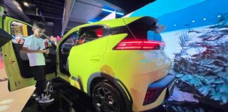 BYD Dolphin Surf