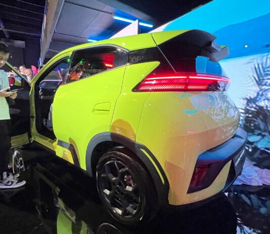 BYD Dolphin Surf