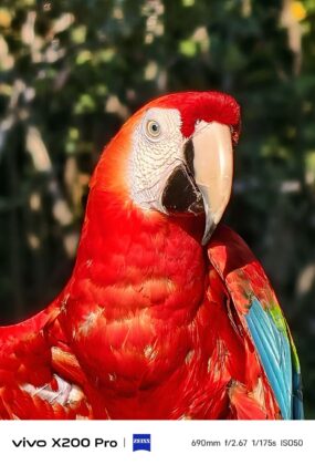 A ZEISS optika és a saját chip viszi a prímet; Magyarországon is kapható a vivo X300 és X300 Pro