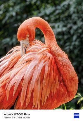 A ZEISS optika és a saját chip viszi a prímet; Magyarországon is kapható a vivo X300 és X300 Pro