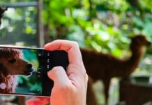 HONOR Magic9 Pro Max: megérkeztek az első mintaképek az 500 mm-es telekonverterrel