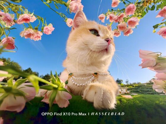 OPPO Find X10 Pro Max: 200 MP-es telefotóval érkeznek az առաջին portréminták