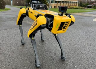 A robotkutyák kilépnek a demófázisból: 92,5%-kal nőttek a szállítások, az ipar pedig egyre többet költ