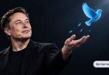Az X megvédte a Twitter nevet, de elveszítheti a Tweetet és a kék madarat